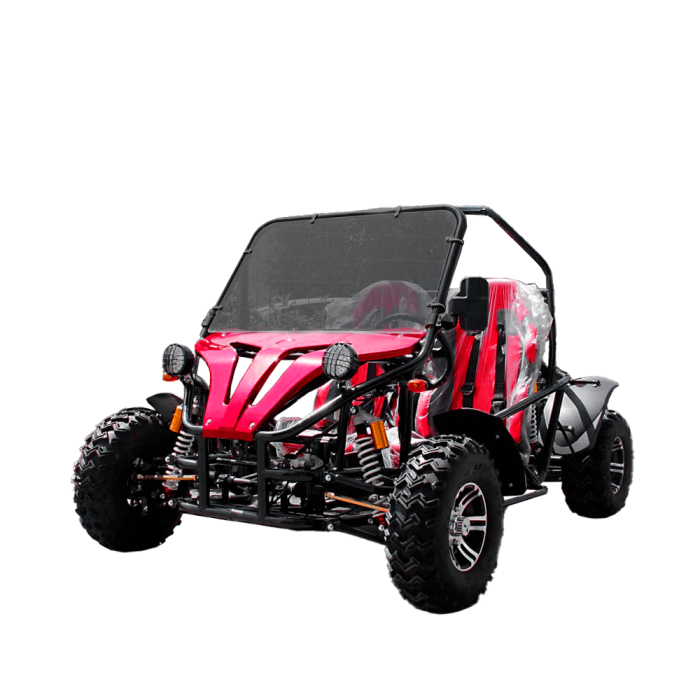 Багги GreenCamel Намиб A5000 — изображение 1