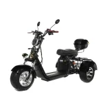 Электротрицикл GT X11 TRIKE