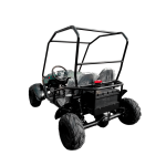 Багги GreenCamel Намиб T009 — изображение 2