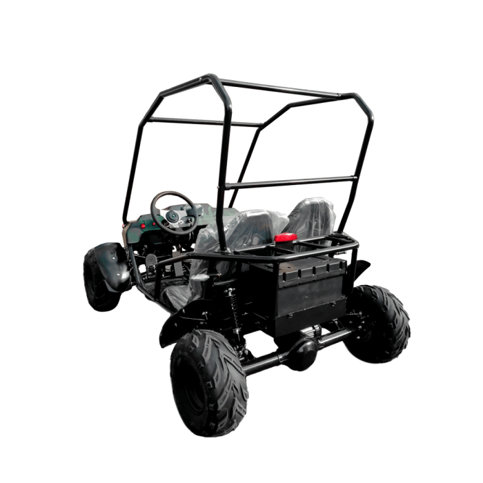 Багги GreenCamel Намиб T009 — изображение 2