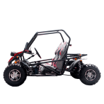 Багги GreenCamel Намиб A5000 — изображение 2