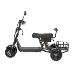 Электротрицикл GT X3 PRO TRIKE — изображение 2