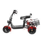Электротрицикл GT X5 TRIKE CLASSIC — изображение 2