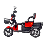 Электротрицикл GreenCamel Фродо X7 PRO — изображение 2