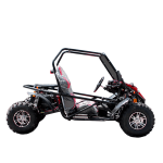 Багги GreenCamel Намиб A5000 — изображение 4