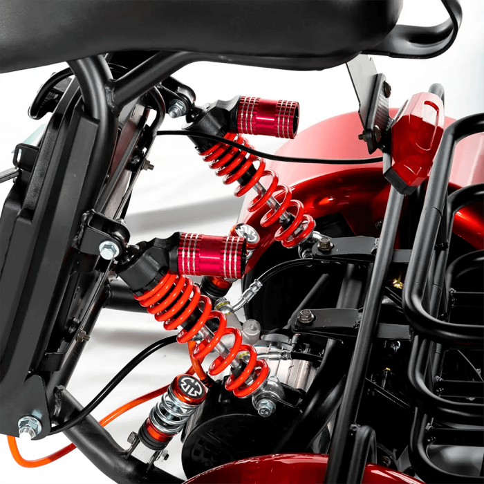 Электротрицикл GT X5 TRIKE CLASSIC — изображение 3