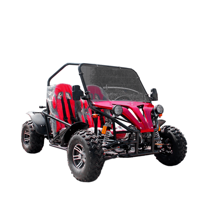 Багги GreenCamel Намиб A5000 — изображение 5