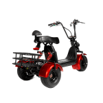 Электротрицикл GT X5 TRIKE CLASSIC — изображение 5