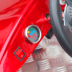 Багги GreenCamel Намиб T007 — изображение 7