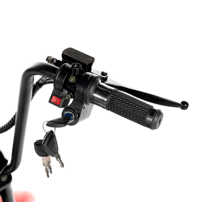 Электротрицикл GT X5 TRIKE CLASSIC — изображение 8