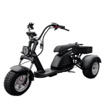 Электротрицикл GT M8 TRIKE