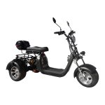 Электротрицикл SmartBalance X11 TRIKE