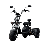 Электротрицикл GT EC 03 PRO TRIKE (2024)