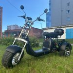 Электротрицикл SmartBalance X11 TRIKE — изображение 2