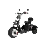Электротрицикл GT X12 PRO TRIKE EVOLUTION