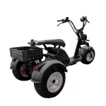 Электротрицикл GT M8 TRIKE — изображение 2
