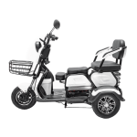 Электротрицикл VOLT TRIO — изображение 2