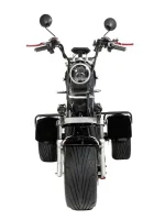 Электротрицикл GT X12 PRO TRIKE EVOLUTION — изображение 4