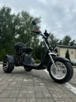 Электротрицикл GT X12 PRO TRIKE EVOLUTION — изображение 5