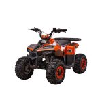 Детский квадроцикл YACOTA RAPOSA 110 — изображение 3