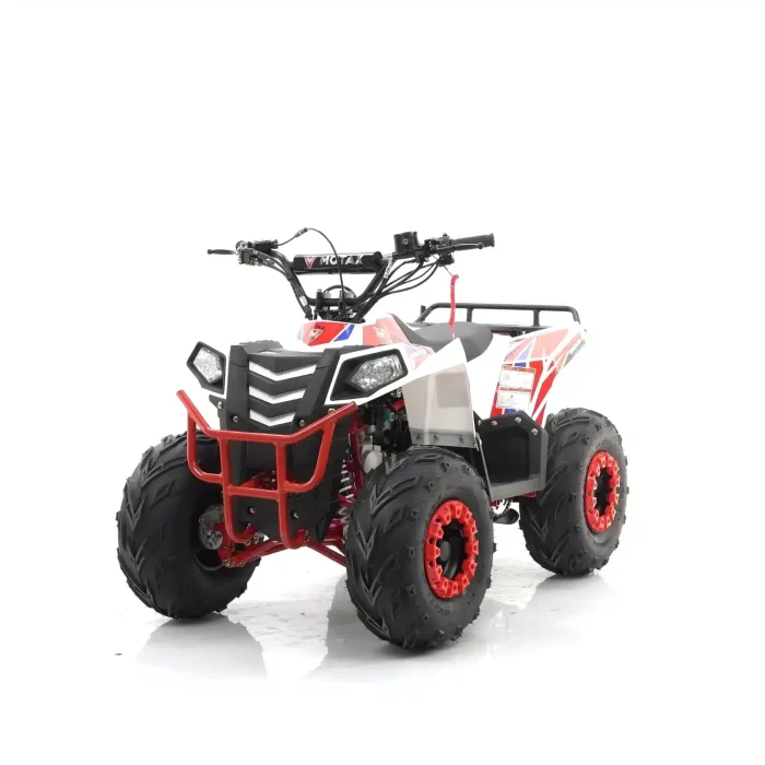 Квадроцикл MOTAX GRIZLIK A110 — изображение 1