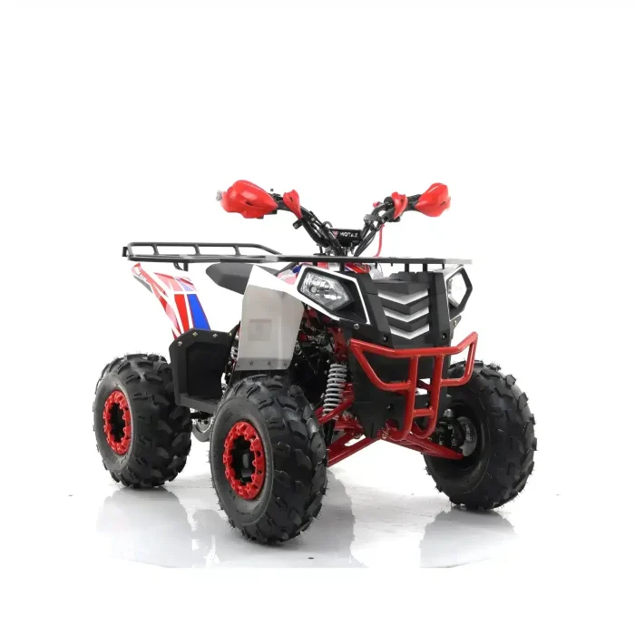 Квадроцикл MOTAX GRIZLIK A125 — изображение 1