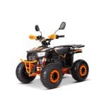 Детский квадроцикл YACOTA SIRIUS 110