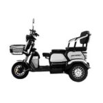 Электротрицикл SHTENLI Model 31 (SLA  20Ач 60В)
