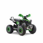 Квадроцикл YACOTA RENEGADE 125