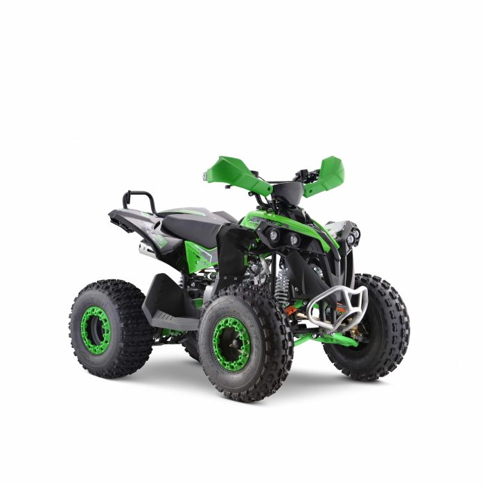 Квадроцикл YACOTA RENEGADE 125 — изображение 1