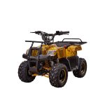 Детский квадроцикл YACOTA SMARTY 110