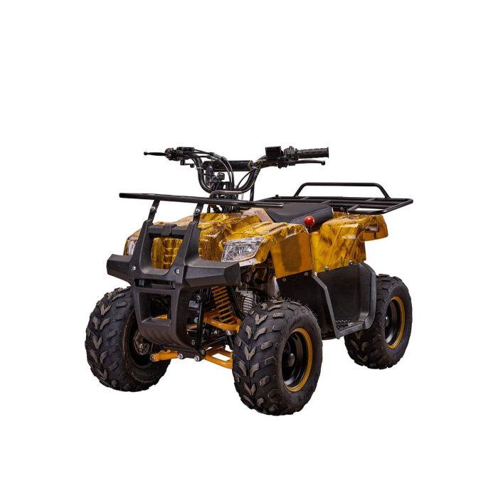 Детский квадроцикл YACOTA SMARTY 110 — изображение 1