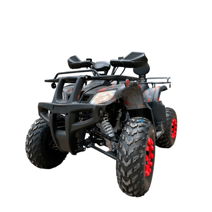 Квадроцикл MOTAX GRIZLIK 200 LUX — изображение 1