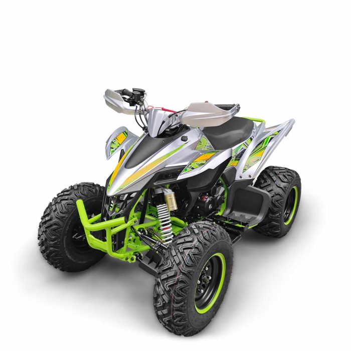 Квадроцикл YACOTA TYPHOON 250 — изображение 1