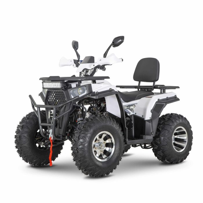 Квадроцикл YACOTA VIKING 200 PRO — изображение 1