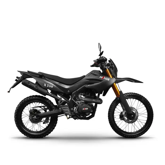 Мотоцикл эндуро MINSK X 250 (ПТС) — изображение 3