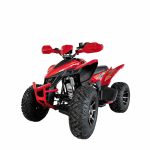 Квадроцикл YACOTA TYPHOON 250LD