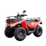 Квадроцикл YACOTA CABO 200