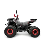 Квадроцикл MOTAX GRIZLIK PREMIUM 125 СС — изображение 2