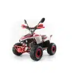 Квадроцикл MOTAX Mikro 110 NEW