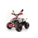Квадроцикл MOTAX Mikro 110 NEW