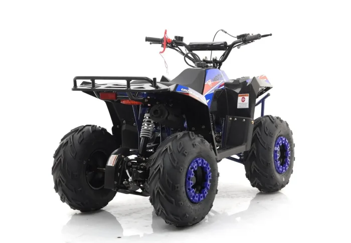 Квадроцикл MOTAX GRIZLIK A110 — изображение 10