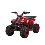 Детский квадроцикл YACOTA RAPOSA 110