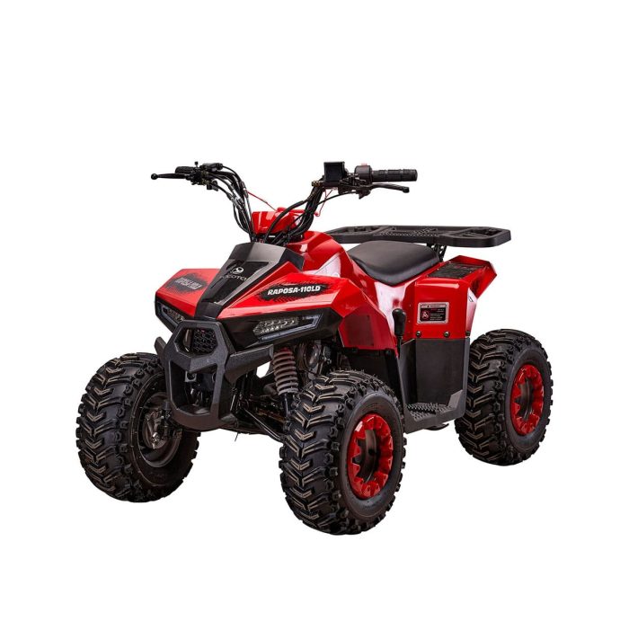 Детский квадроцикл YACOTA RAPOSA 110 — изображение 1