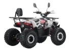 Квадроцикл YACOTA DAZZLE 125 LUX — изображение 4