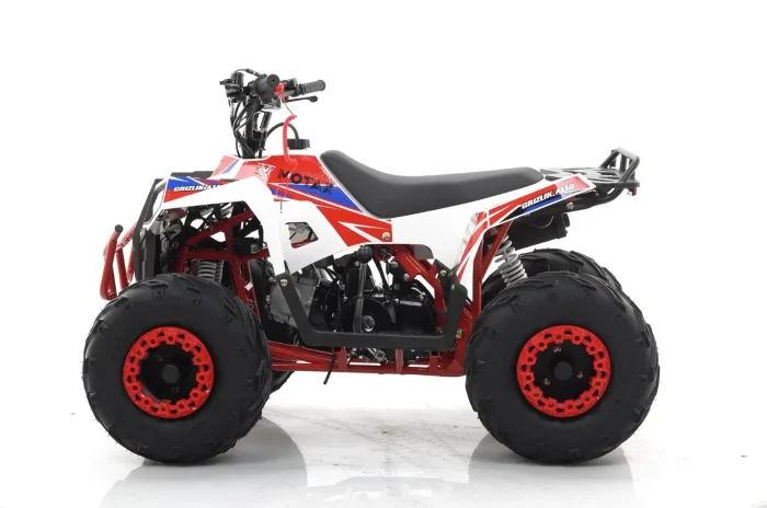 Квадроцикл MOTAX GRIZLIK A110 — изображение 2