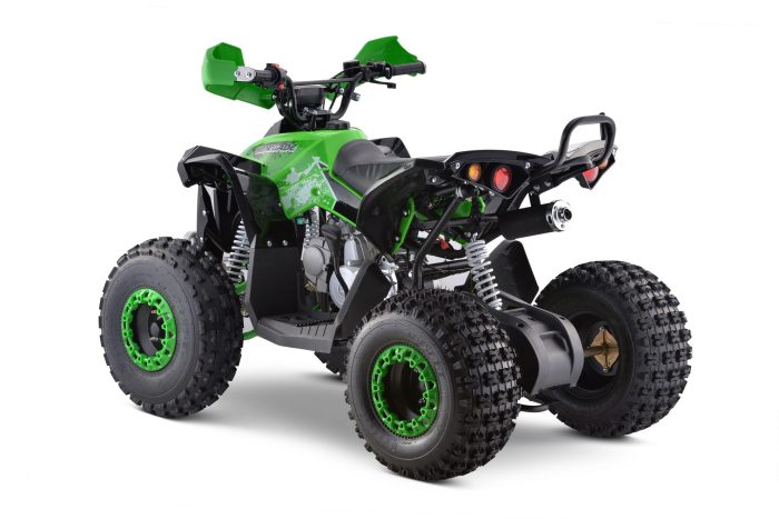 Квадроцикл YACOTA RENEGADE 125 — изображение 3