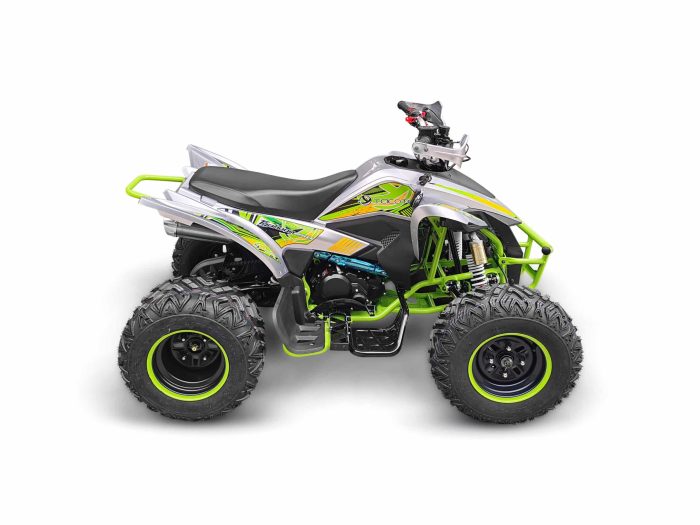 Квадроцикл YACOTA TYPHOON 250 — изображение 4