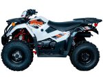 Квадроцикл KAYO AU300 EFI (ПТС) — изображение 2