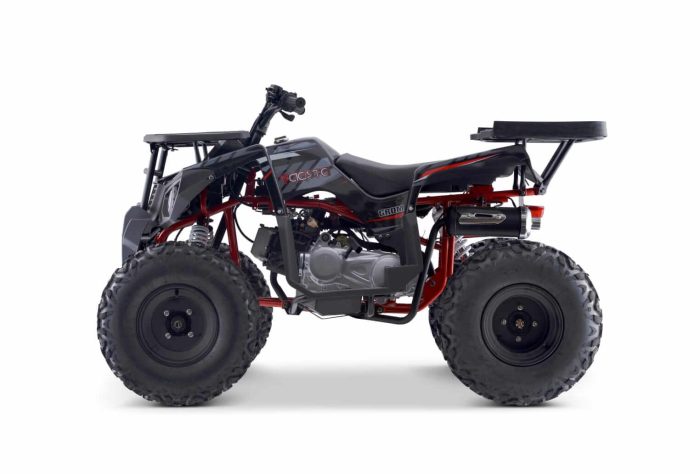 Квадроцикл YAСOTA GROM 200 — изображение 2